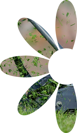 Contatti Blumen